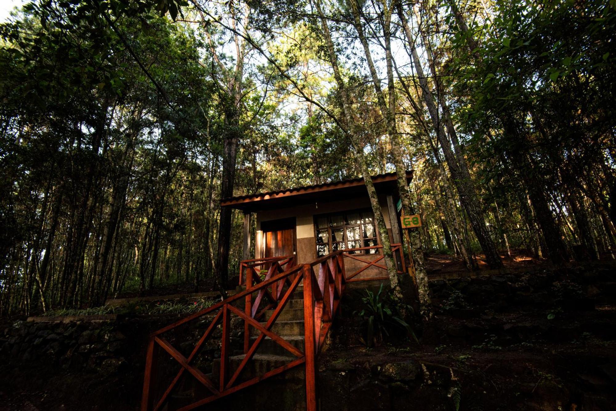Cotan Ecolodge La Esperanza Kültér fotó