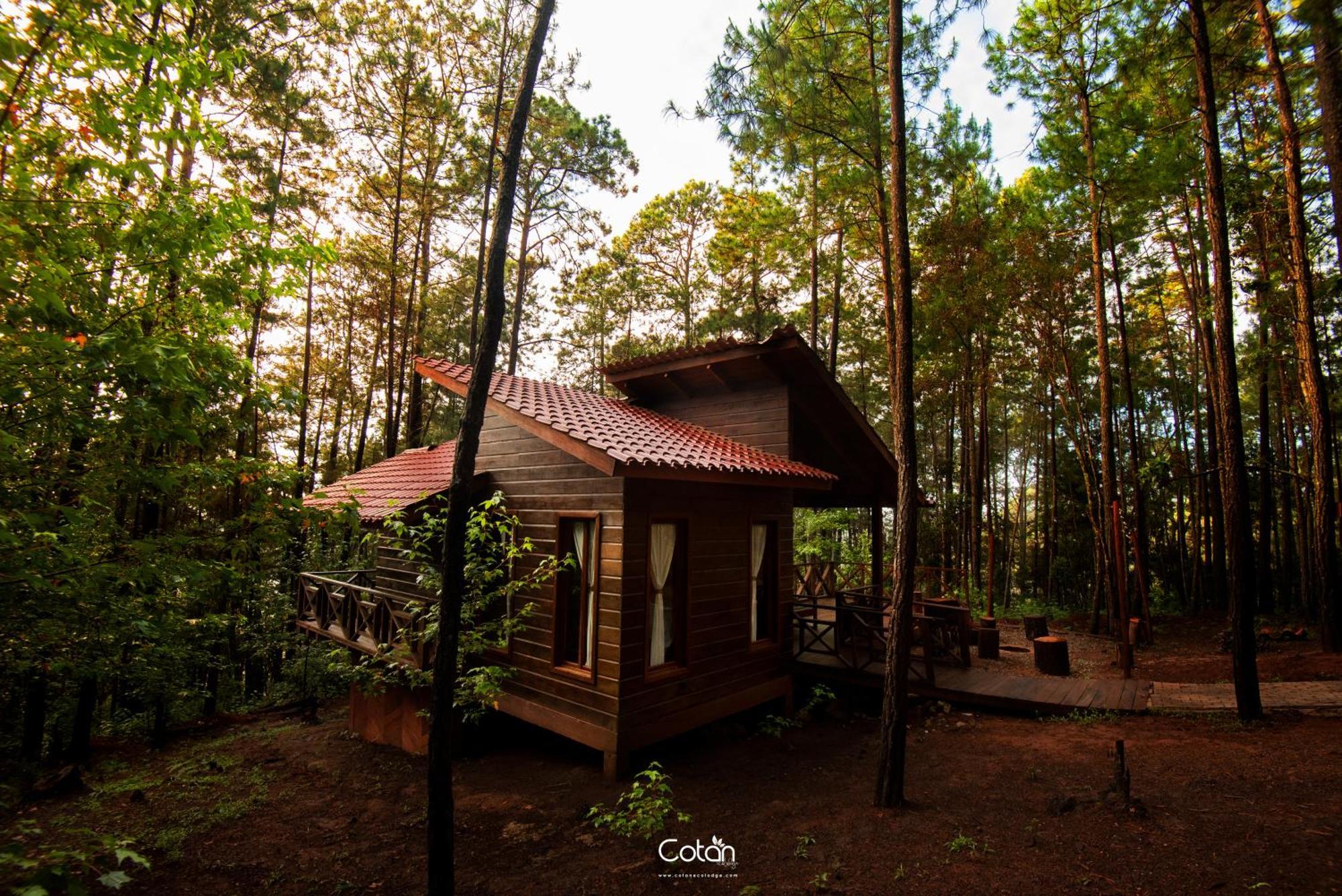 Cotan Ecolodge La Esperanza Kültér fotó