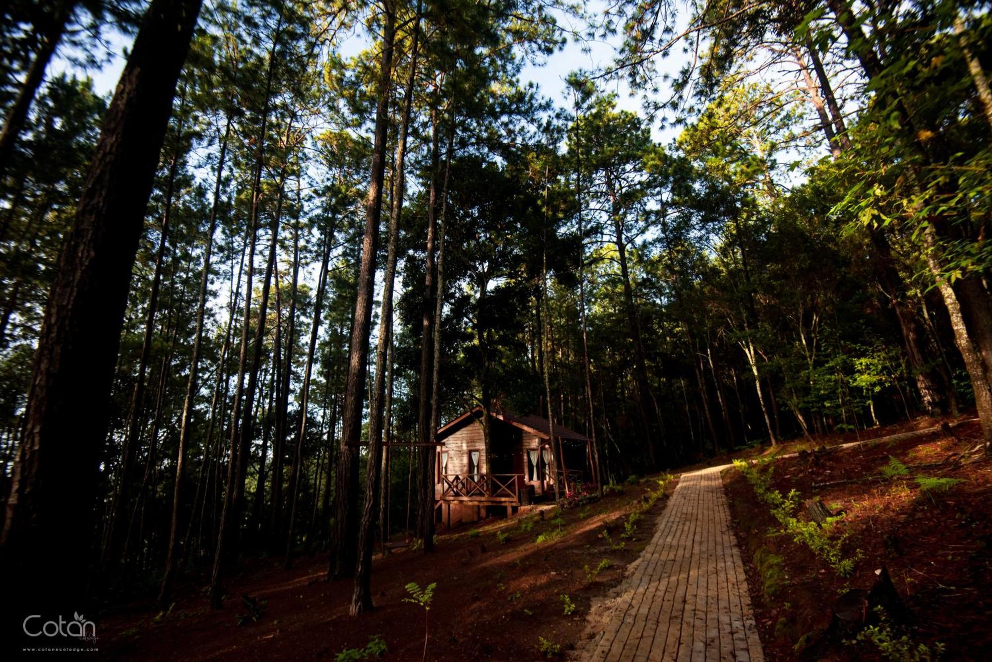 Cotan Ecolodge La Esperanza Kültér fotó